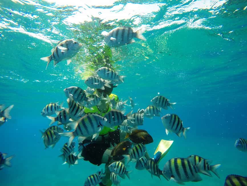 Snorkeling Tour & Sosua Beach Day - Equipment and instruction: gear is included, and guidance matters