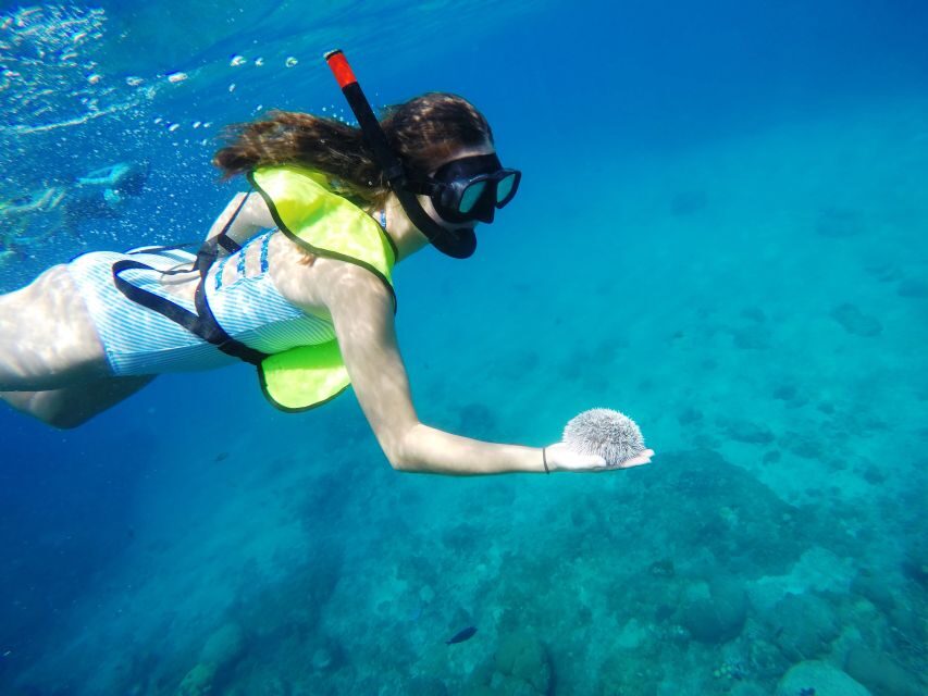 Snorkeling Tour & Sosua Beach Day - Group size, languages, and the practical feel of Eric Tours