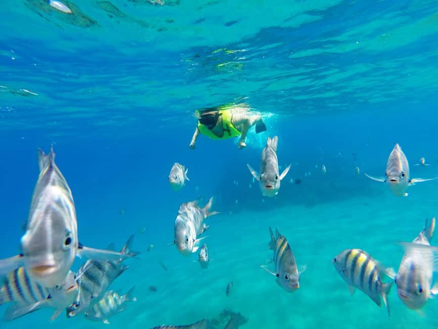 Snorkeling Tour & Sosua Beach Day - Two reef stops that don’t drag: Three Rocks and Sosua Bay again