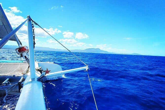 Sosua Catamaran Excursion - First Snorkel Stop: How the Crew Helps You Actually See Fish