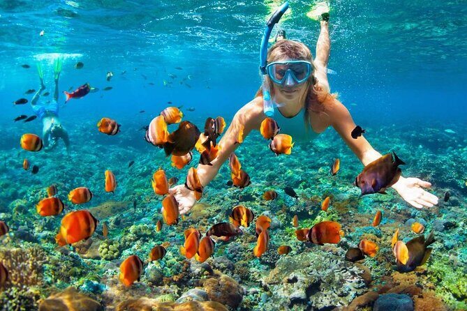 Speedboat & Snorkeling from Punta Cana - Captain time on the speedboat: who drives and how long you’re on the water
