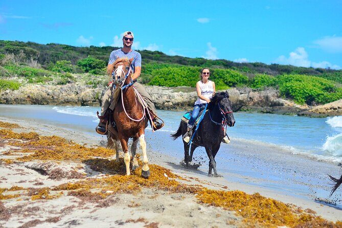 Sunset Horseback Riding Tour in Punta Cana (Private Option) - Horses and Safety: What You Can Expect (and What to Watch)