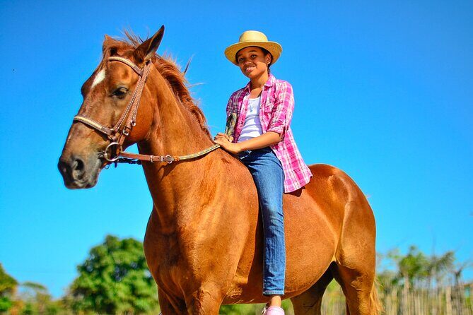 Sunset Horseback Riding Tour in Punta Cana (Private Option) - The Tropical Forest Stretch to Boca de Maimón: The Route’s Real Payoff
