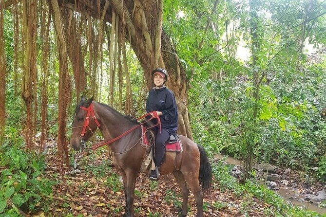 The Ultimate Dominican Horseback Riding Adventure - Key Points I’d Focus On Before You Go
