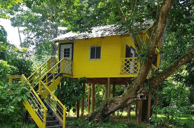 The Ultimate Dominican Horseback Riding Adventure - The Main Event: Ranch Work, Forest Trails, and the Mountain Lookout