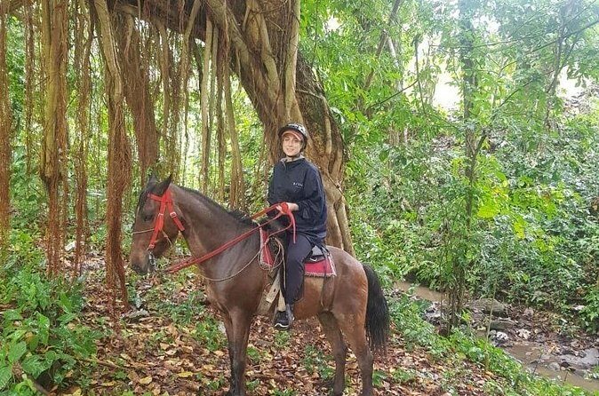 The Ultimate Dominican Horseback Riding Adventure - Cocoa Beans, Wild Fruit, and the Ranch “Legacy” Moment