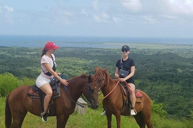 The Ultimate Dominican Horseback Riding Adventure - Best Time to Go: 8:00 AM vs 2:00 PM