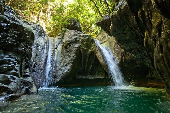 Triple fun! Monkeyland + Damajagua Waterfalls + Buggies from Puerto Plata - Monkeyland: Fruit-Feeding Squirrel Monkeys in the Jungle