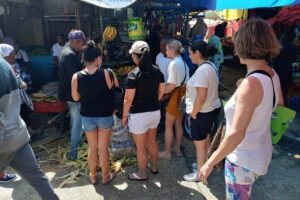 Tropical Escape Tour - Countryside Horseback Ride: Fun, but Go in Prepared