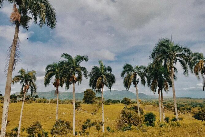 Tropical Escape Tour - Lunch by the River: Included Food That Actually Counts