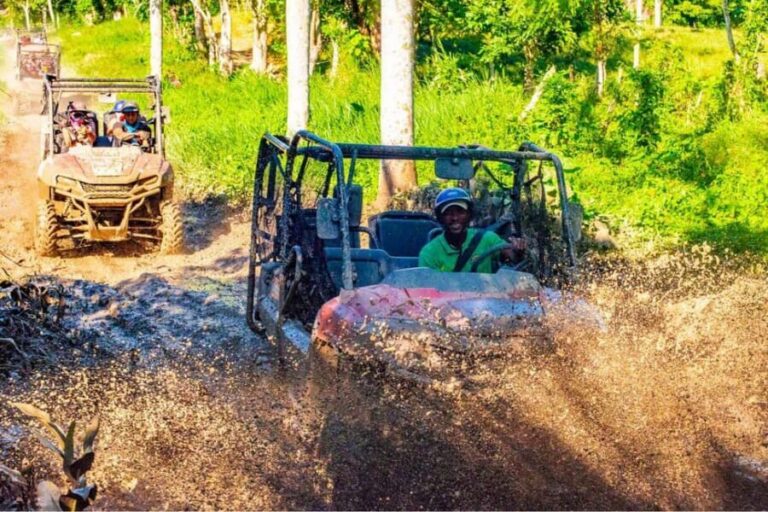 Ultimate Buggy Expedition from Punta Cana with blue cenote - From pickup to the first buggy briefing: what to expect