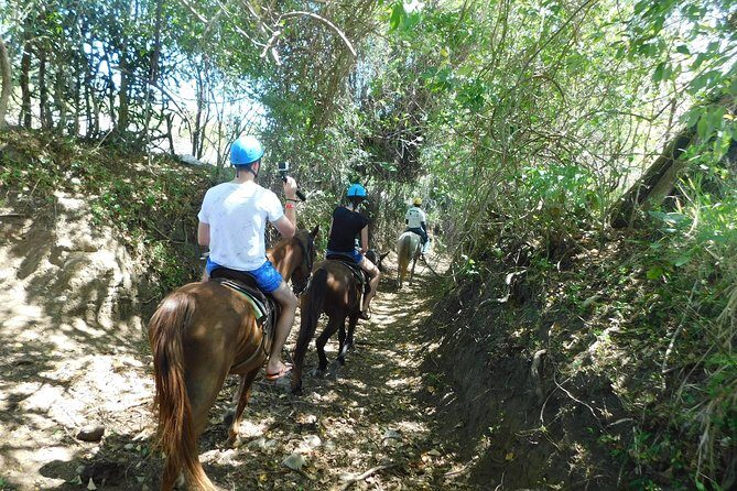 VIP DayPass: ATV, ZipLine, Horse Riding / Shore Excursion & Hotel - Price and Value: Is $159.99 a Good Deal?