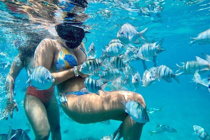 VIP Fascinating Boat Ride & Snorkeling at Sosua Bay - Key points to know before you go
