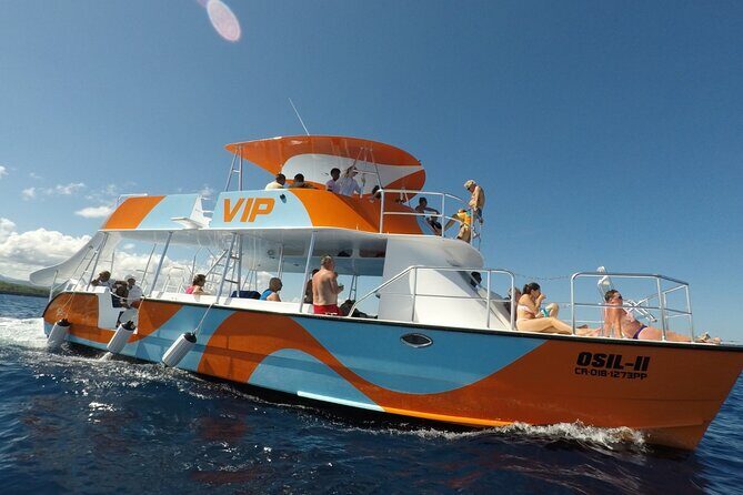 VIP Fascinating Boat Ride & Snorkeling at Sosua Bay - Stop 1: fish-feeding vibes and your first 40 minutes in the water
