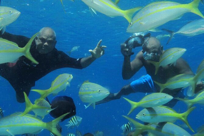 VIP Party Boat & Snorkeling - Sosua Pickup to Private Dock: How the day actually starts