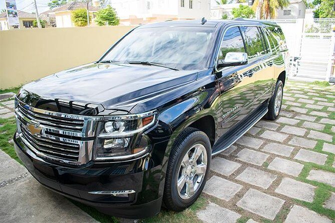 VIP Transfer Punta Cana Airport to Punta Cana & Bavaro Hotels (Not Uvero Alto) - Quick hits before you land