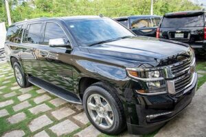 VIP Transfer Punta Cana Airport to Punta Cana & Bavaro Hotels (Not Uvero Alto) - Arriving at the airport: meeting your designated driver fast