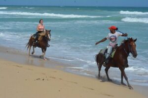 Want to Learn to Gallop at Bavaro Punta Cana Beach! - Trail Time on Sand and Countryside: The Moment You Feel the Ride