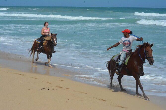 Want to Learn to Gallop at Bavaro Punta Cana Beach! - Trail Time on Sand and Countryside: The Moment You Feel the Ride