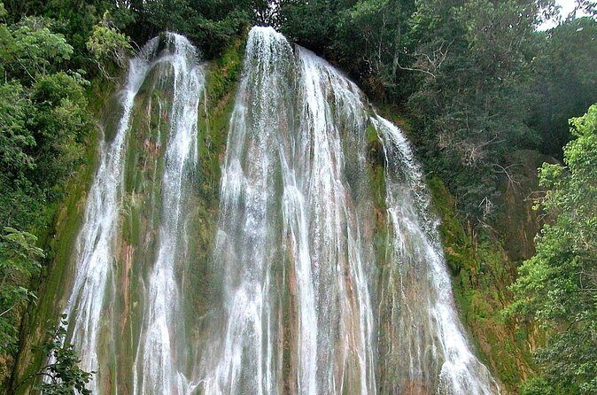 Whale Watching & Limón Waterfall Day Trip - The 30-Minute Horse Ride Through Coffee, Cocoa, and Fruit Country