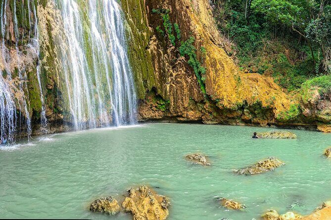 Whale Watching & Limón Waterfall Day Trip - The Day’s Timing: Pickup, 10 Hours of Transport, and a 13-Hour Commitment