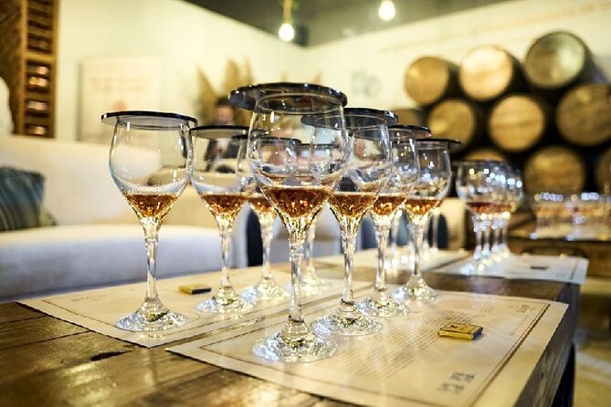 100% Caribbean Rum Tasting in Punta Cana. - Pairings: Cheese, 70% Chocolate, and the Flavor Training Effect