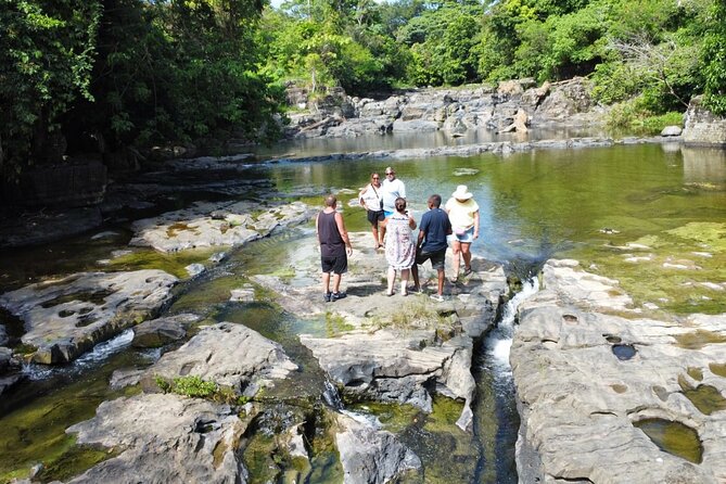 Buggy Ride, Horseback, Zipline,Eco Farm,Macao Beach - Price value: what $130 buys (and where you may spend extra)