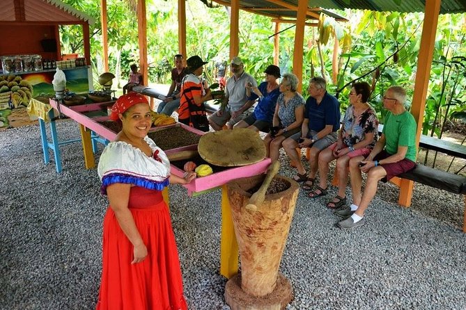 Half-Day Tour: Dominican Discovery Of a Culture - A Half-Day That Feels Like Real Dominican Time