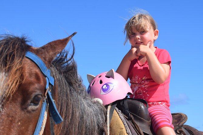 Horseback Riding Tour on the Beaches of Punta Cana - Meet the Horses: Why Names and Temperament Matter