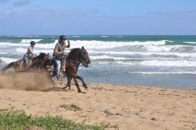 Horseback Riding Tour on the Beaches of Punta Cana - Meeting at the Ranch and Getting Ready to Ride