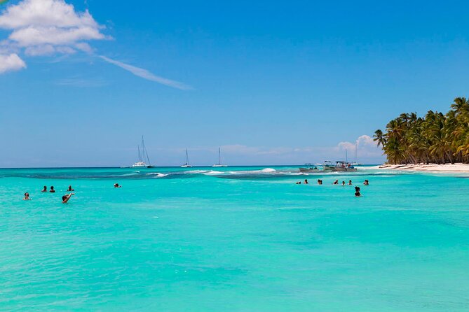 Saona Island Catamaran Adventure with Free Food and Transportation - Piscina Naturalmente: 45 minutes in a starfish pool